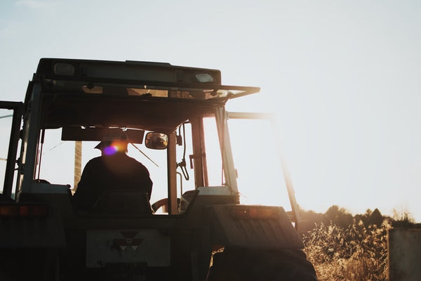 Working a Winery Harvest